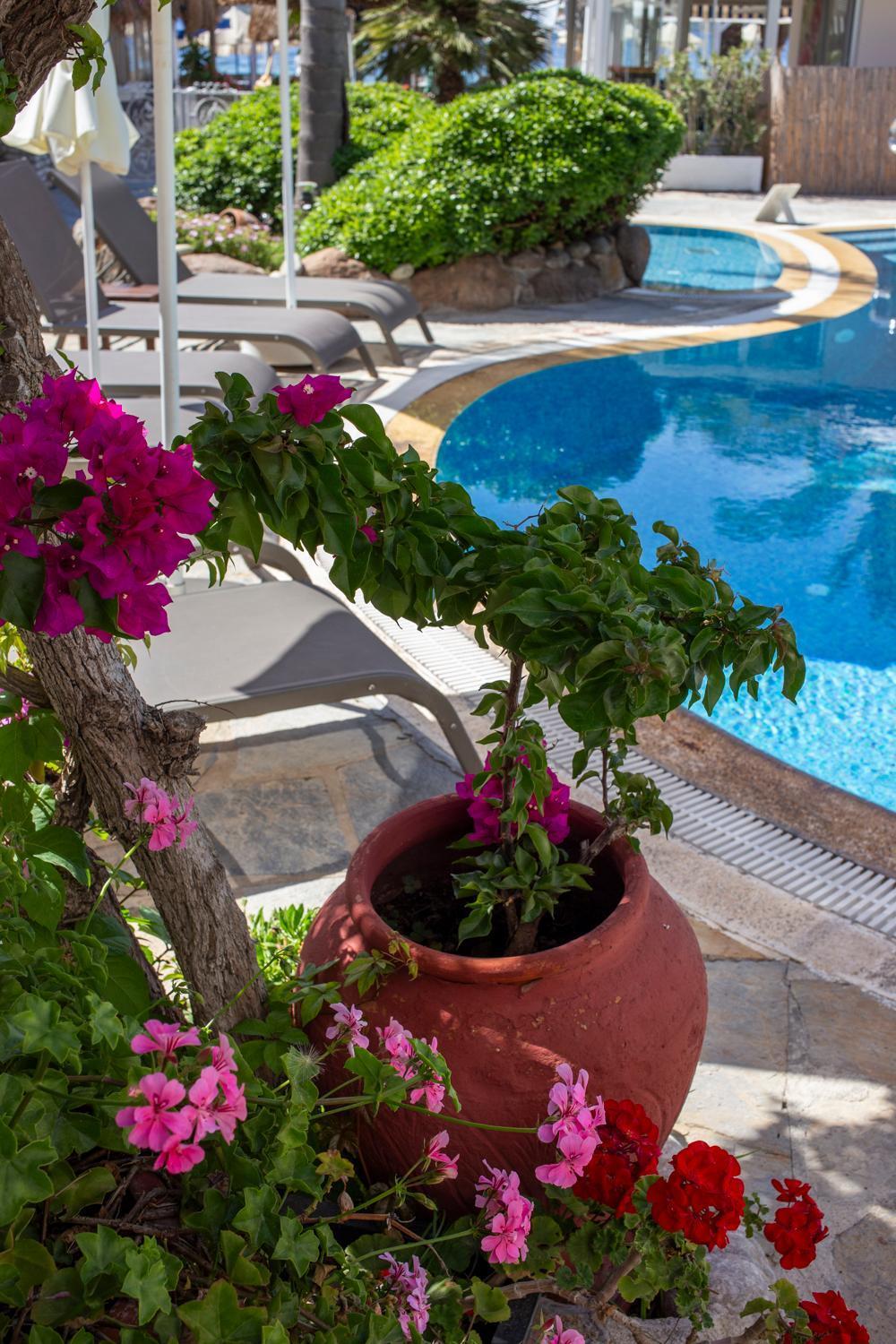 Uzhan Beach Hotel Bitez Ngoại thất bức ảnh